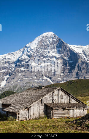 Holz-Hütte mit Eiger Berg im Hintergrund, männlichen, Grindelwald, Berner Oberland, Kanton Bern, Schweizer Alpen, Schweiz Stockfoto