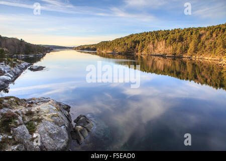 Woods spiegelt sich in den ruhigen Gewässern, Insel Hitra, Tröndelag, Norwegen, Skandinavien, Europa Stockfoto