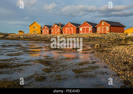 Die Farben der Dämmerung leuchten die Häuser der Fischer, Flatanger, Tröndelag, Norwegen, Skandinavien, Europa Stockfoto