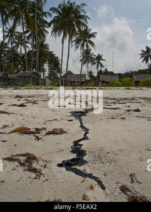Teer-Verschmutzung am Strand wegen Öl verschütten aus der Schifffahrt in Bintan Island, Sumatra, Indonesien, Südostasien, Asien Stockfoto