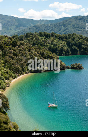 Okiwa Bay, Marlborough Sounds, Südinsel, Neuseeland, Pazifik Stockfoto