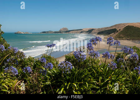 Castlepoint, Südostküste, North Island, Neuseeland, Pazifik Stockfoto