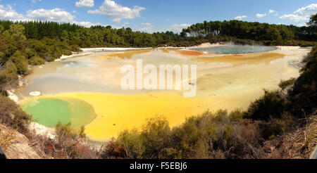 Champagne Pool im Waiotapu geothermische Gebiet, Rotorua, North Island, Neuseeland, Pazifik Stockfoto