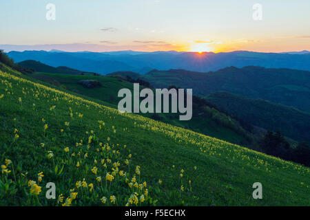 Ländliche Landschaft, Provinz Tawusch, Armenien, Kaukasus, Zentralasien, Asien Stockfoto