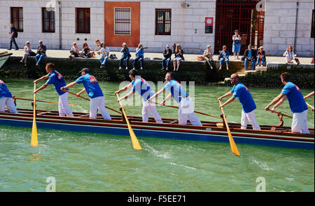 Ein Team an der Vogalonga erreichen den Endpunkt in Canale Di Cannaregio Venedig Veneto Italien Europa Stockfoto