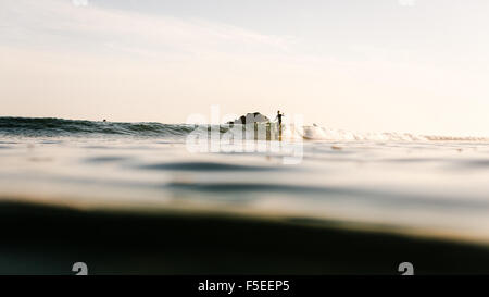 Frau Surfen bei Sonnenuntergang, Malibu, Kalifornien, USA Stockfoto