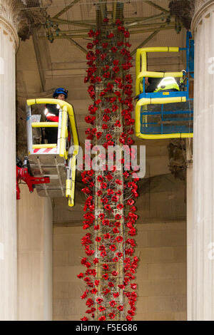 Liverpool, Vereinigtes Königreich. 3. November 2015. Stadträtin Wendy Simon besucht den Presse-Aufruf am St Georges Hall, für die Installation der ersten Keramik Mohn zum Gedenken an die gefallenen Helden der zwei Weltkriege.  Der Mohn werden wie ein Fluss Mäander auf der Treppe von St. Georges Hall drapiert werden.  Das beeindruckende Display wird abgeschlossen & für Erinnerung Sonntag am 8. November vorgestellt. Bildnachweis: Cernan Elias/Alamy Live-Nachrichten Stockfoto