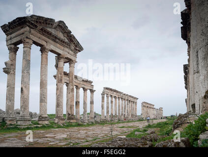 Ruinen von Apameia, Hama, Syrien Stockfoto