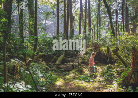 Mädchen zu Fuß durch den Wald tragen eine Laterne Stockfoto