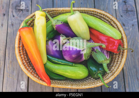 Korb mit frischen Paprika und Auberginen, Chilis und zucchini Stockfoto