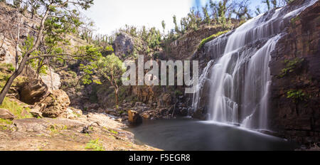 MacKenzie Falls, Victoria, Australien Stockfoto