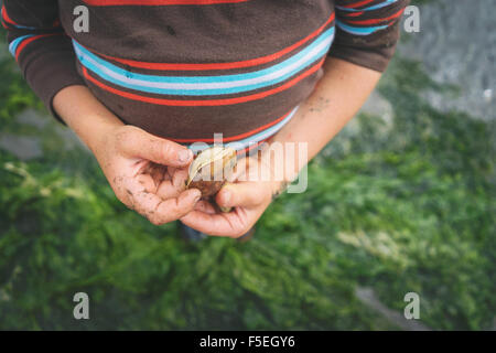 Junge hält eine frische Muschel Stockfoto