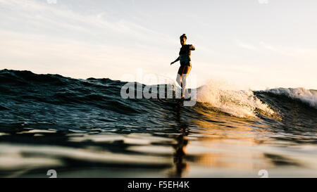 Frau Surfen, Malibu, Kalifornien, USA Stockfoto