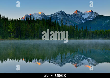 Der Bug-Bereich spiegelt sich in Herbert Lake in der Morgendämmerung, Banff Nationalpark, Alberta, Kanada Stockfoto