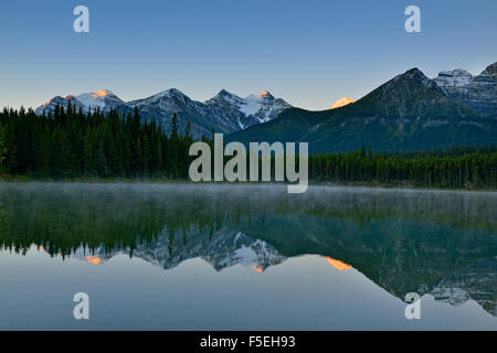 Der Bug-Bereich spiegelt sich in Herbert Lake in der Morgendämmerung, Banff Nationalpark, Alberta, Kanada Stockfoto