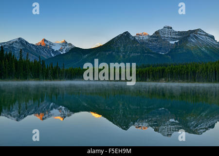 Der Bug-Bereich spiegelt sich in Herbert Lake in der Morgendämmerung, Banff Nationalpark, Alberta, Kanada Stockfoto