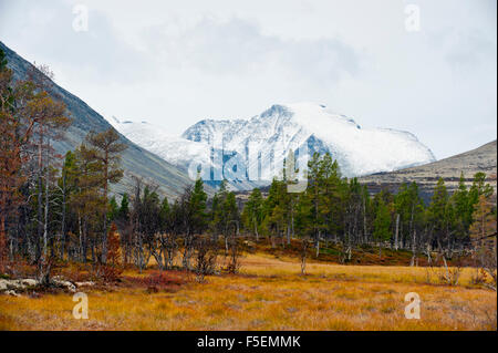 Landschaft in Rondane, Norwegen Stockfoto