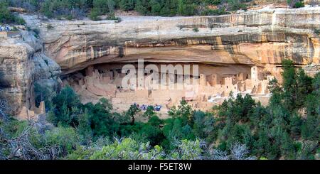 Cliff Palace Wohnungen von Ancestral Pueblo-Indianer Teil des Mesa-Verde-Nationalpark im südwestlichen Colorado gebaut. Stockfoto
