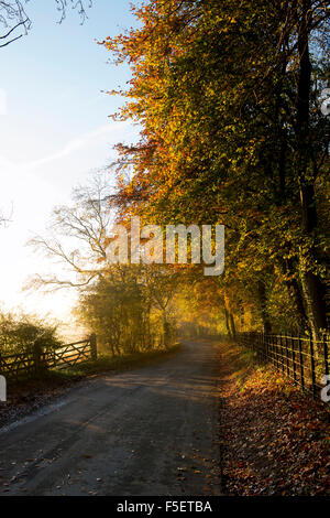 Herbstliche Landschaft in den Cotswolds bei Sonnenaufgang. Gloucestershire, England. Stockfoto