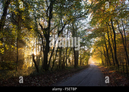 Herbstliche Landschaft in den Cotswolds bei Sonnenaufgang. Gloucestershire, England. Stockfoto