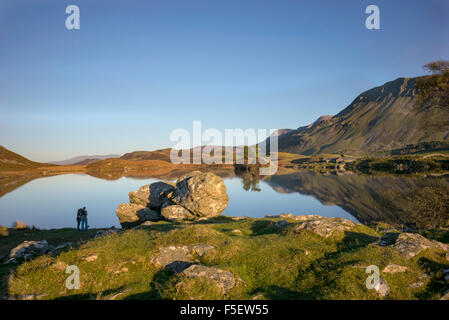 Zwei adulte Weibchen sind durch Cregeggan Seen leuchtet in den späten Herbst Sonnenlicht überragt von den Bergen Cader Idris Silhouette. Stockfoto