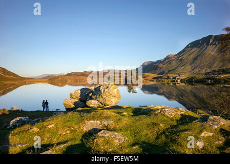 Zwei adulte Weibchen sind durch Cregeggan Seen leuchtet in den späten Herbst Sonnenlicht überragt von den Bergen Cader Idris Silhouette. Stockfoto