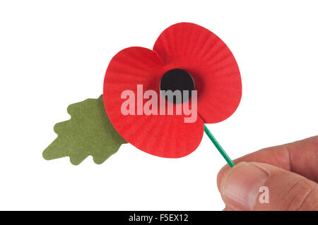 Männliche Hand Holding Mohn Stockfoto