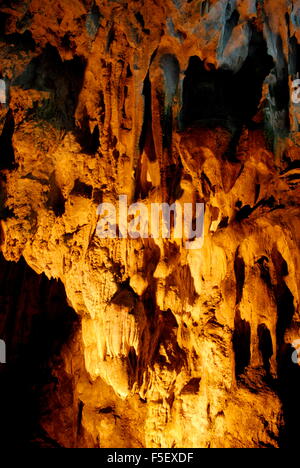 Hängen Sie die Sung Sot Grotte (Höhle der Überraschungen), Halong Bucht, Vietnam Stockfoto