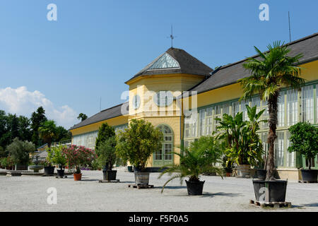 Orangerie im Schlosspark, Schloss Esterházy, Eisenstadt, Burgenland, Österreich Stockfoto