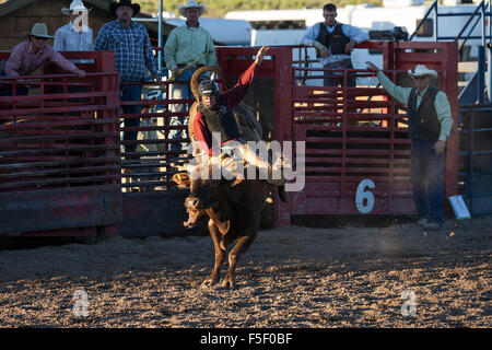 Bullrider, Bryce Canyon Country Rodeo, Bryce Canyon City, Utah, Vereinigte Staaten Stockfoto