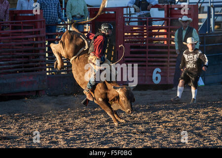 Bullrider, Bryce Canyon Country Rodeo, Bryce Canyon City, Utah, Vereinigte Staaten Stockfoto