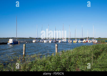 Hafen von Wustrow, Wustrow, Fischland, Fischland Zingst, Saaler Bodden, Mecklenburg-Western Pomerania, Deutschland Stockfoto