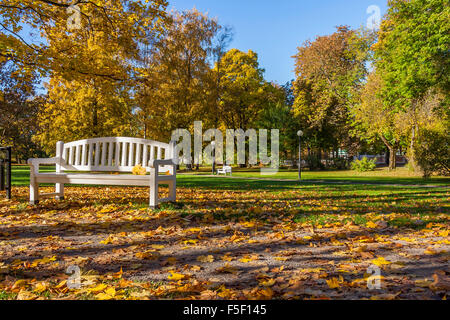 Bank im Herbst Park Stockfoto