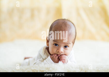 Eine kleine Mischlinge Baby kauen auf seinen Händen während der Verlegung auf einer weichen Decke Stockfoto