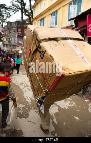 Indien, Himachal Pradesh, Shimla (Simla), Mann mit schweren Last der großen Karton auf Rückseite Stockfoto