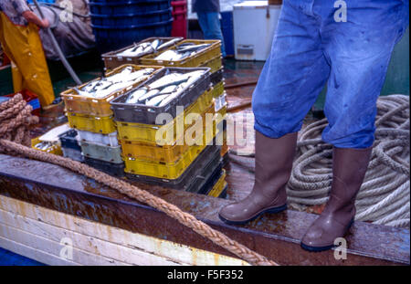 90 / 5000 výsledky překladu Fischer am Morgen entladen den Fang aus dem Boot, frischer Fisch in der Nacht gefangen, kroatischen Hafen von Rijeka Stockfoto