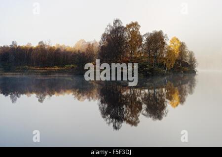 Herbstfärbung zeigt am bewaldeten Ufer des Loch Tummel Stockfoto