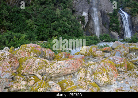 Flechten und Moos auf Felsen am Fluss Waiho Franz Josef Glacier, Franz Josef, Südinsel, Neuseeland Stockfoto