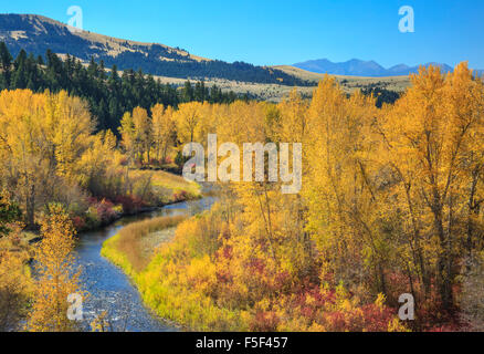 Herbstfarben Sie entlang dem Flüsschen Blackfoot, mit Gipfeln des Bereichs Feuerstein Creek in der Ferne in der Nähe von Garnison, montana Stockfoto