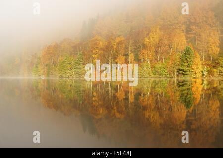 Herbstfärbung zeigt am bewaldeten Ufer des Loch Tummel Stockfoto