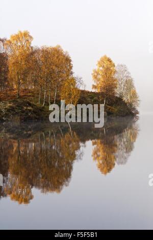 Herbstfärbung zeigt am bewaldeten Ufer des Loch Tummel Stockfoto