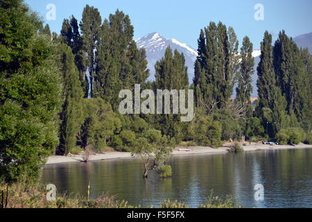 Lake Wanaka-Ufer und ", Wanaka Baum", eine Weide Baum das ist das Wahrzeichen von Wanaka, Südinsel, Neuseeland Stockfoto