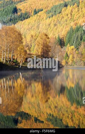 Herbstfärbung zeigt am bewaldeten Ufer des Loch Tummel Stockfoto