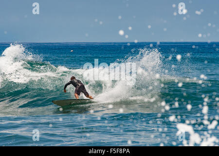 Surfer im Hafen von Lahaina, Maui, Hawaii, Stockfoto