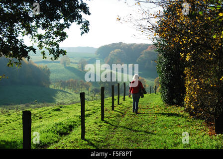 ein Spaziergang durch die niederländische Landschaft, Epen Zuid Limburg Niederlande Stockfoto