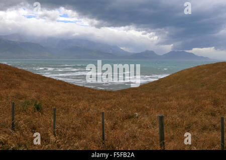 Das Meer in Kaikoura, Südinsel, Neuseeland Stockfoto