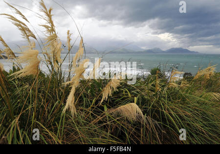 Blick von der Halbinsel Gehweg, Kaikoura, Südinsel, Neuseeland Stockfoto