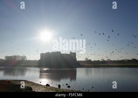 Ein Vogelschwarm fliegt vor Carew Castle, Carew, Pembrokeshire Stockfoto