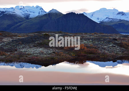 Skaftafell NP spiegelt sich in einem Teich in der Morgendämmerung, Island Stockfoto