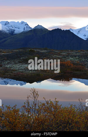 Skaftafell NP spiegelt sich in einem Teich in der Morgendämmerung, Island Stockfoto